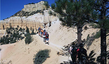 USA-Arizona-Grand Canyon-Bryce-Zion Hiker